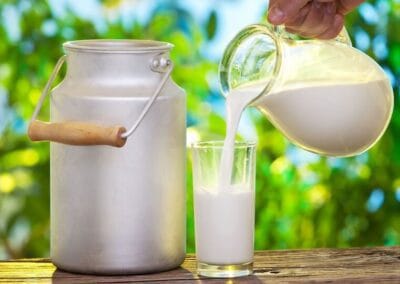 Is Cow’s Milk Healthy?