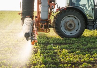 What About Pesticides on Fruits and Vegetables?