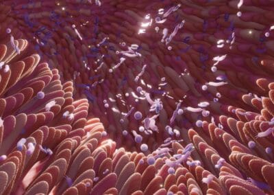 The Importance of the Gut Microbiome and How to Optimize It 