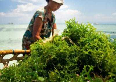 Iodine on a Plant-Based Diet: How to Get Enough