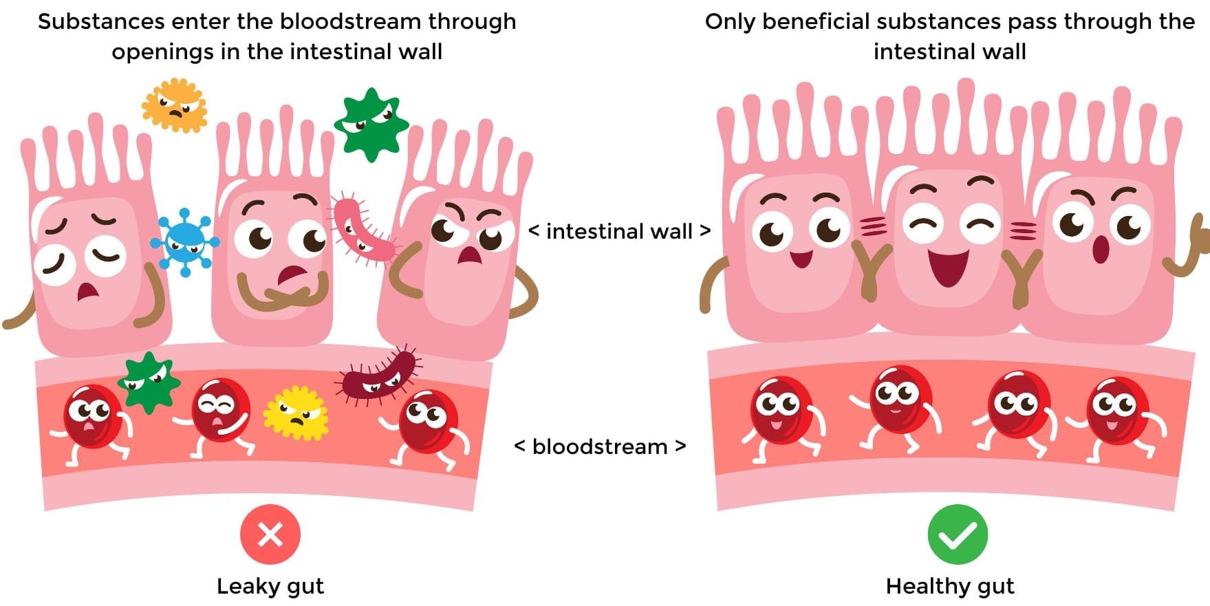 Leaky gut