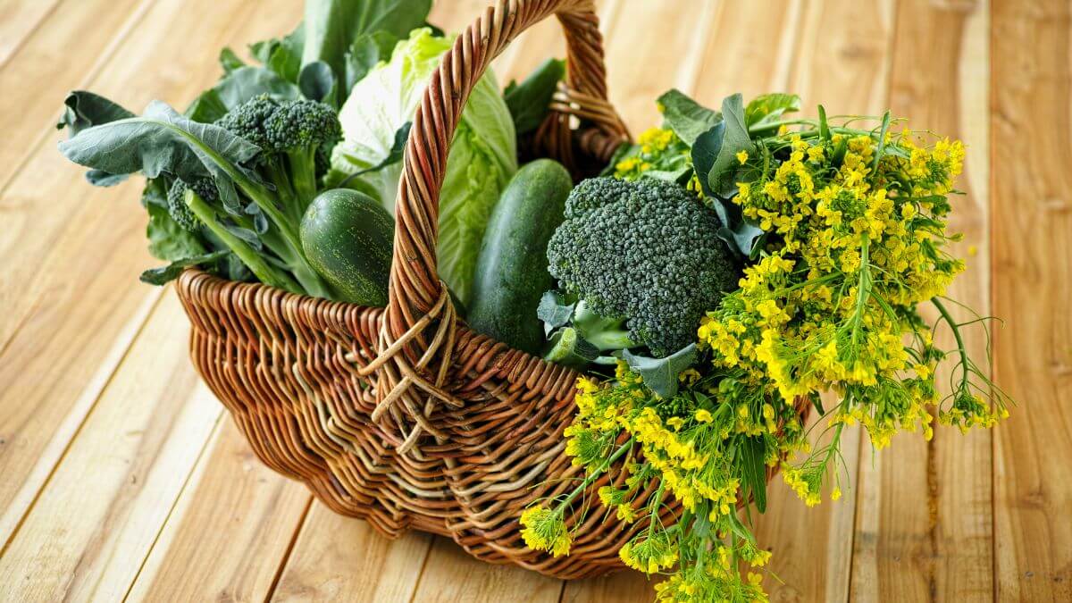 Why You Should Eat Leafy Greens Daily