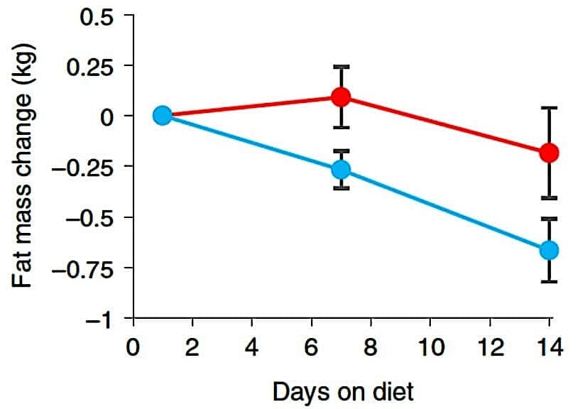 loss of fat