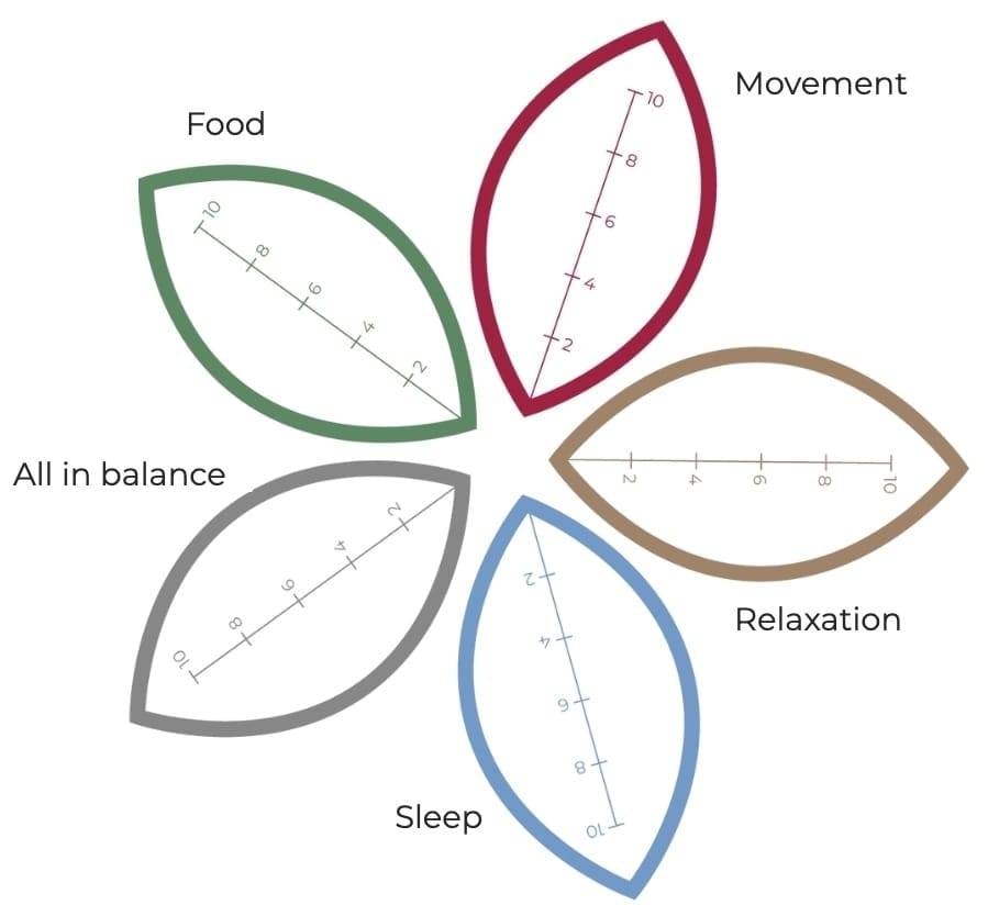 Lifestyle flower Lifestyle flower with food, movement, relaxation, sleep and all in balance